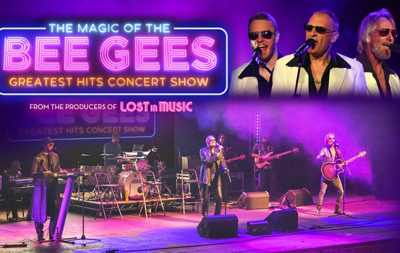 The 			Magic 			of 			the 			Bee 			Gees
